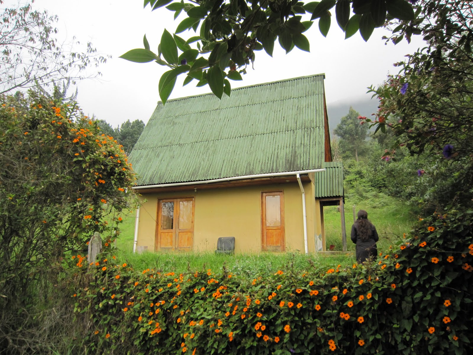 Sweet Green Dreams More farms in Tenjo, Bogota, Colombia